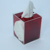 Cube Neon Red Tissue Box